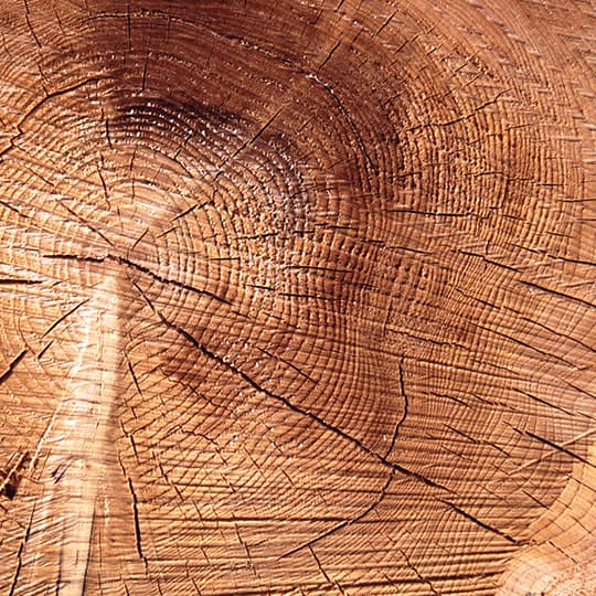 Une maison responsable 