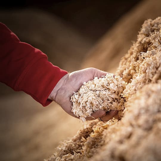 Développement durable