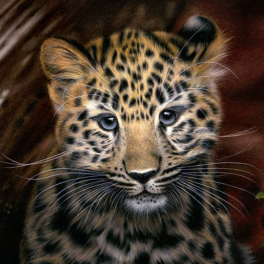 Heather ROONEY, États-Unis