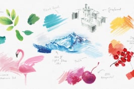Creative Class