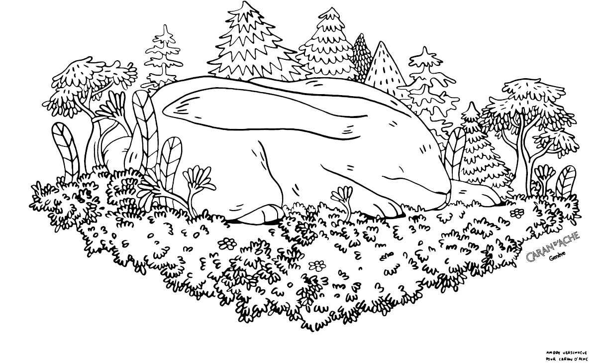 Nos coloriages