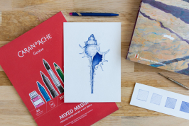 Guide: learn to draw with a ballpoint pen