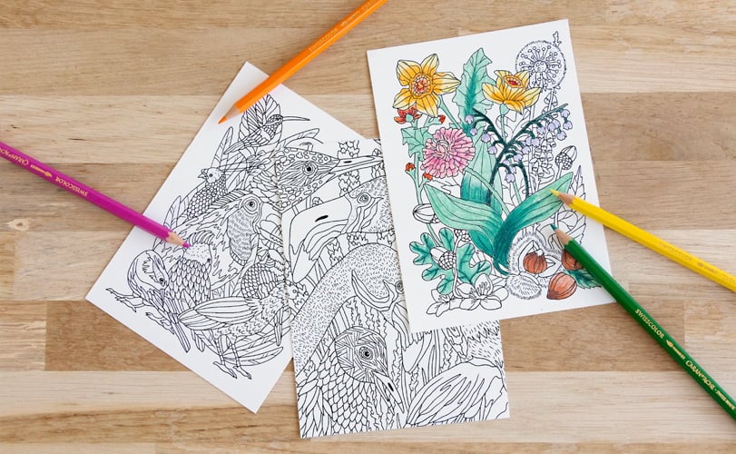 Les bienfaits du coloriage pour l’enfant et l’adulte | Caran d'Ache