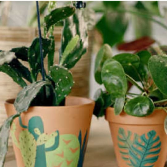  POTS EN TERRE CUITE PERSONNALISÉS